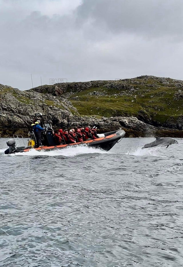 Large picture for advert 139138