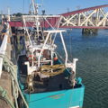 Extra picture for advert 147138