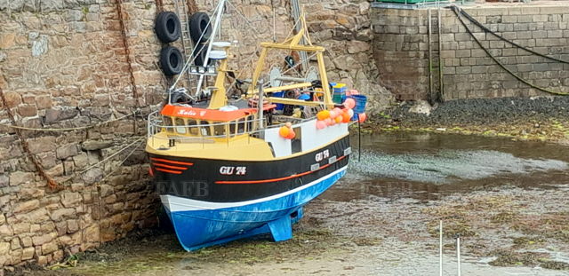 Large picture for advert 132142