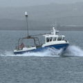 Extra picture for advert 148142
