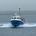 Extra picture for advert 148142