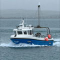 Extra picture for advert 148142