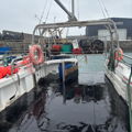 Extra picture for advert 148142