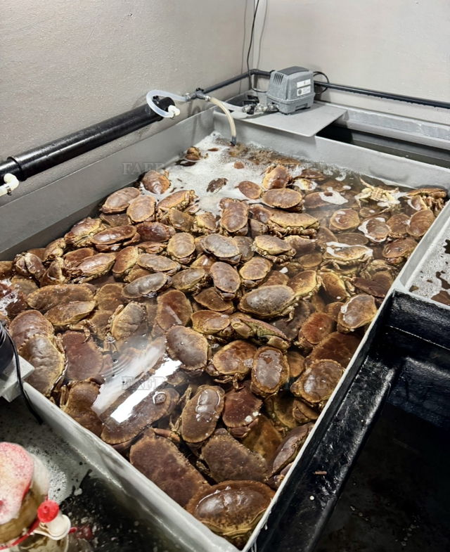 Large picture for advert 144145