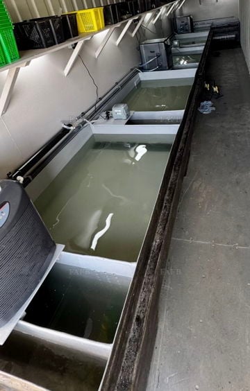 Shellfish storage/ depuration unit