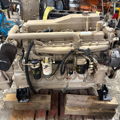 Extra picture for advert 147145