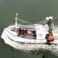 Extra picture for advert 138015