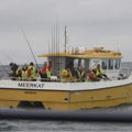 Extra picture for advert 146151