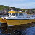 Extra picture for advert 146151