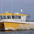 Extra picture for advert 146151