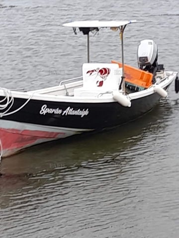Sparen atlantaigh