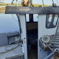 Thumbnail for picture 5