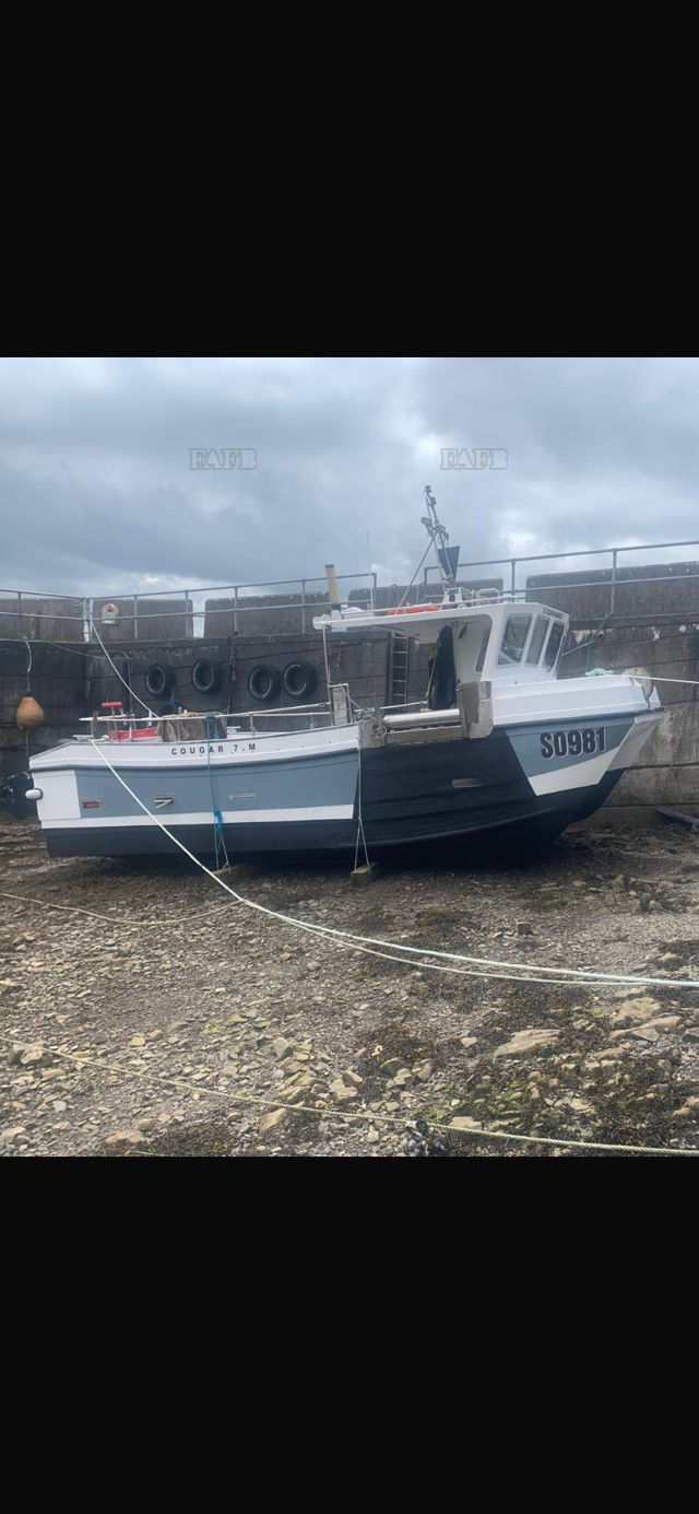 Large picture for advert 143154