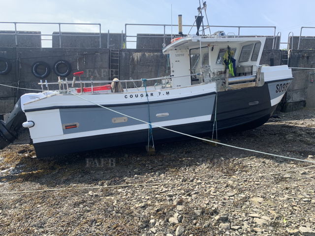 Large picture for advert 143154