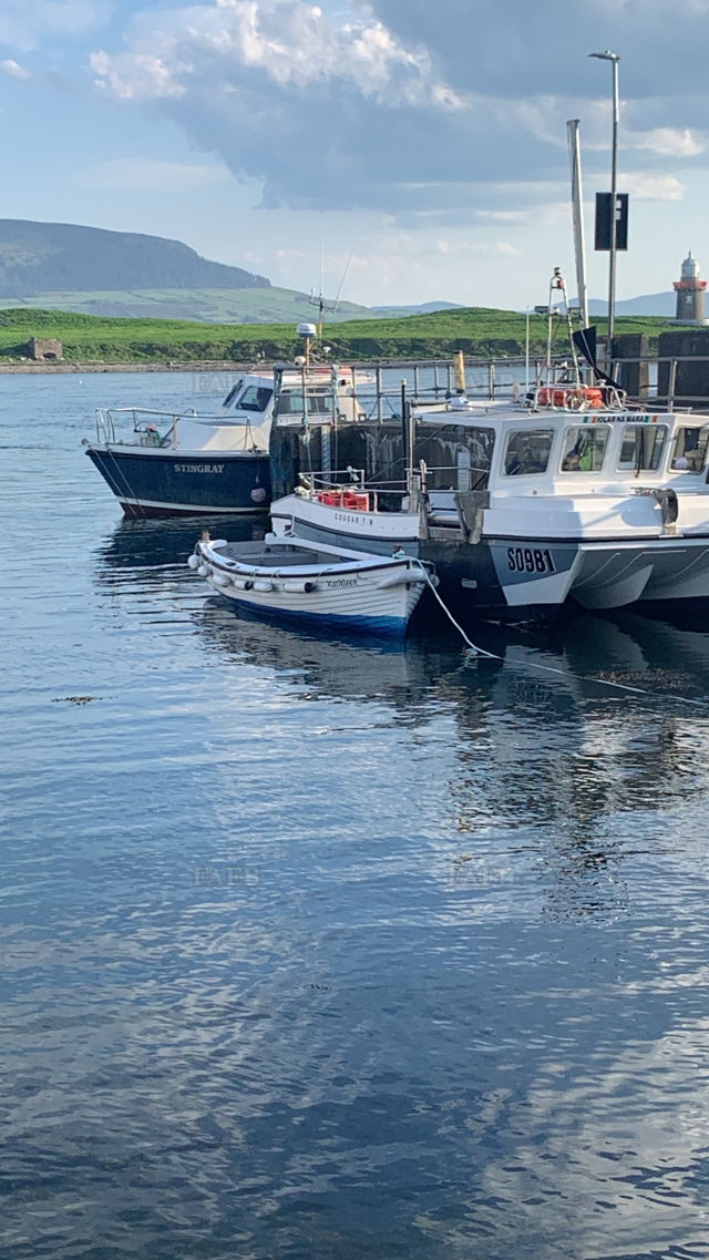 Large picture for advert 143154