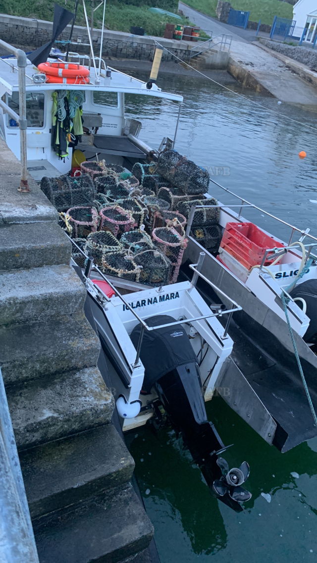 Large picture for advert 143154