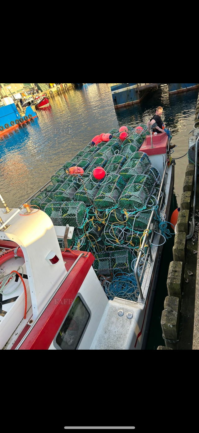 Large picture for advert 143156