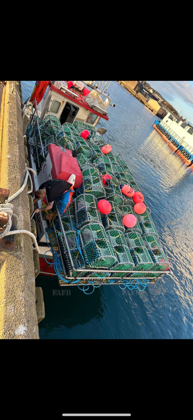 Large picture for advert 143156