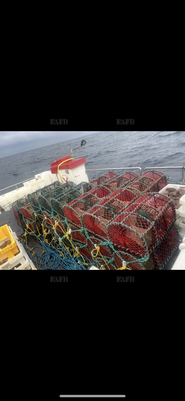 Large picture for advert 143156