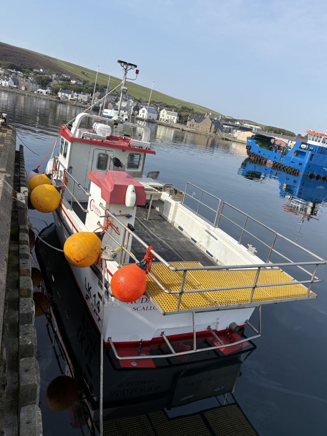 Large picture for advert 143156