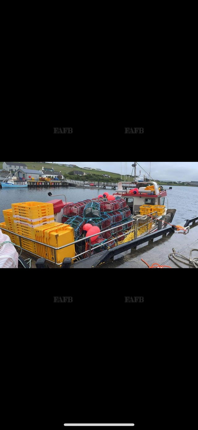 Large picture for advert 143156