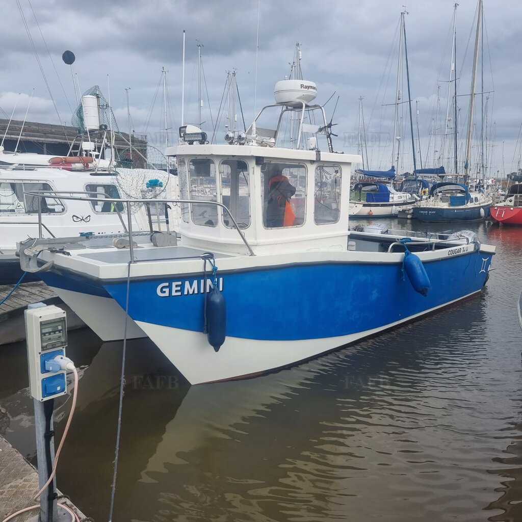 Cougar catamaran