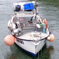 Extra picture for advert 148157
