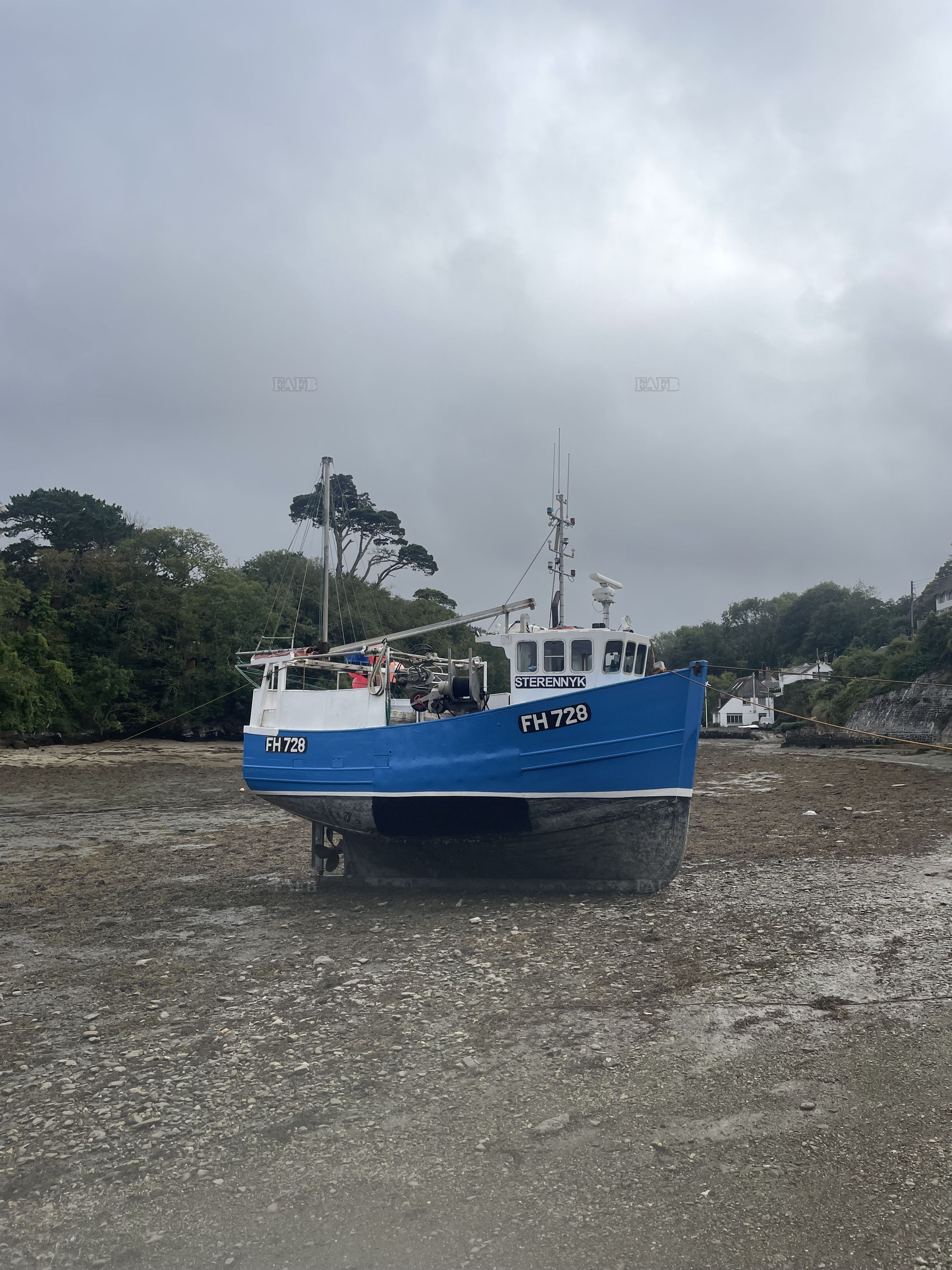 Large picture for advert 145016