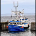 Extra picture for advert 133016