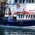 Extra picture for advert 147160