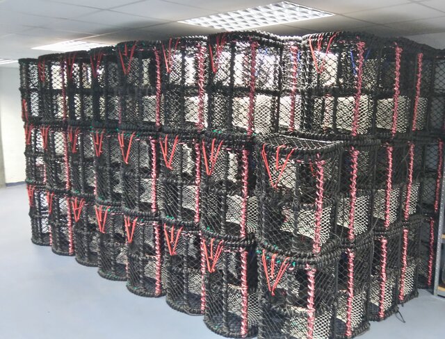 Large picture for advert 115165