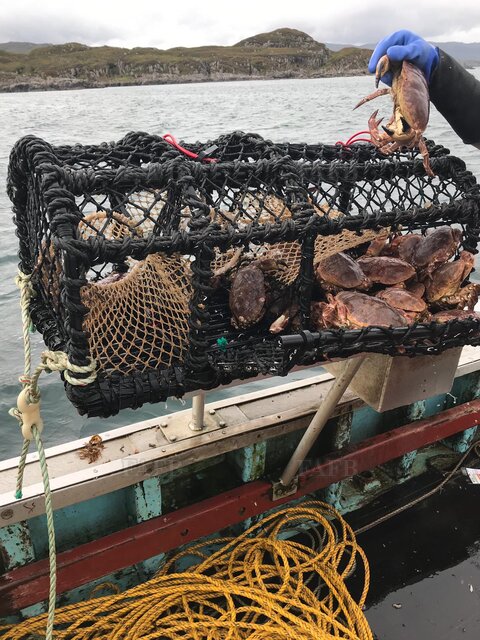 Large picture for advert 115165