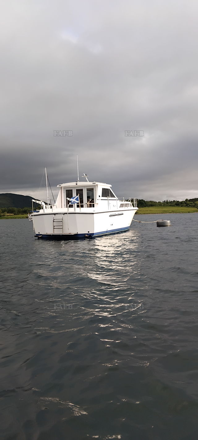 Large picture for advert 147167
