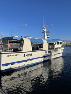 Cougar 12 Metre Displacement Catamaran - PILOT ME BH 130 - ID:129167