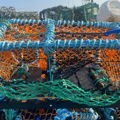 Thumbnail for picture 5