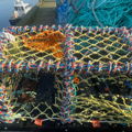Thumbnail for picture 3