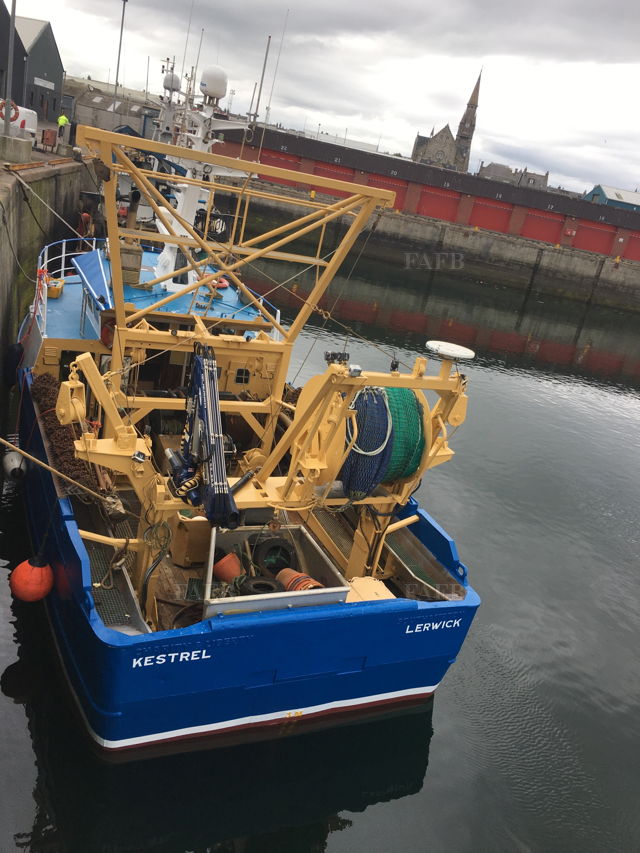 Large picture for advert 143173