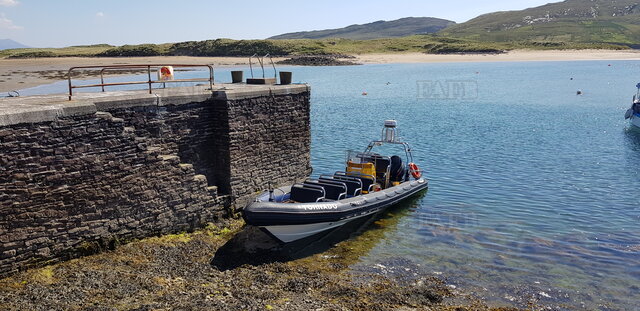 Large picture for advert 100174