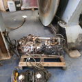 Extra picture for advert 147175