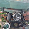 Thumbnail for picture 5