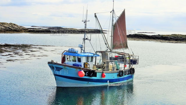 Large picture for advert 131018