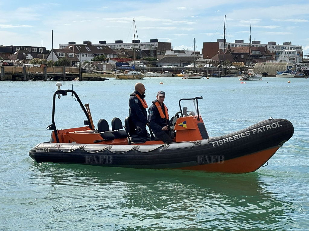 Delta &#039;550&#039; Dash