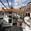Extra picture for advert 148182
