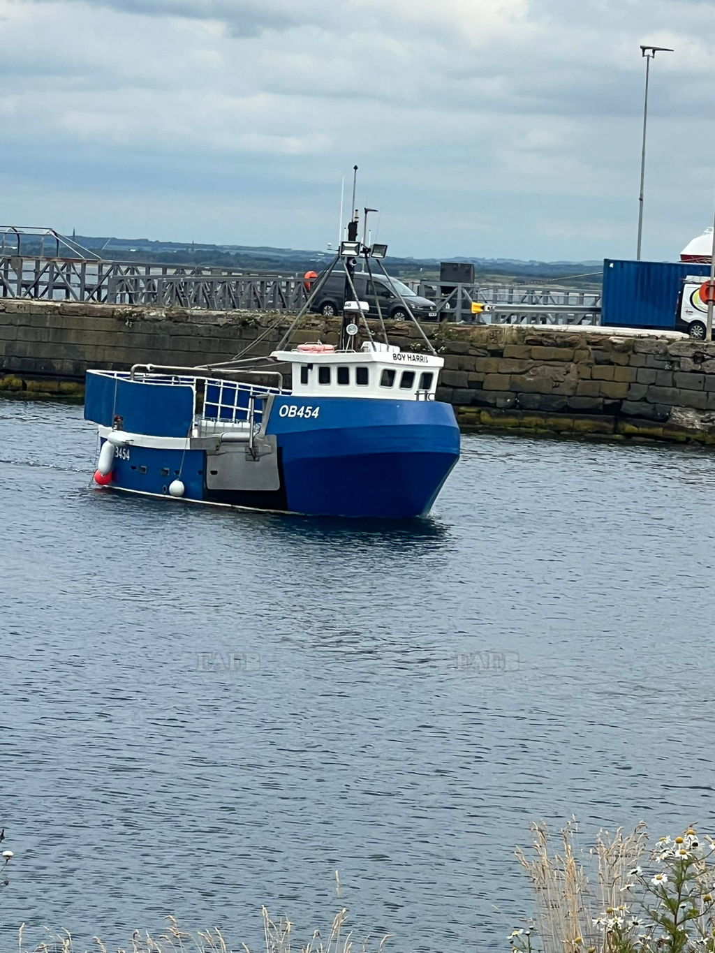 Scallop Diving