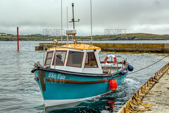Treeve 25 DS - White Water - ID:129183