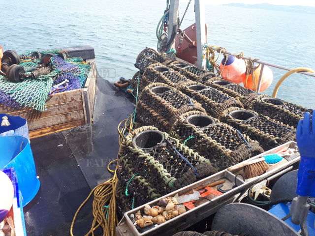 Large picture for advert 143185