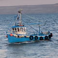Extra picture for advert 147186