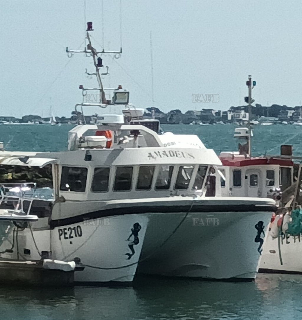 Gemini Catamaran