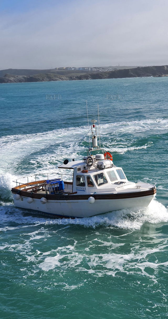 Large picture for advert 138187