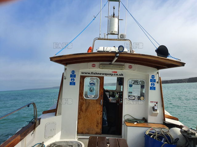 Large picture for advert 138187